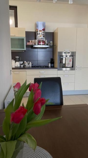Apartment Marina Rijeka Exteriör bild